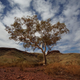 Illustration for article titled AWOL Around Australia... Part 35. The Pilbara. Part 2